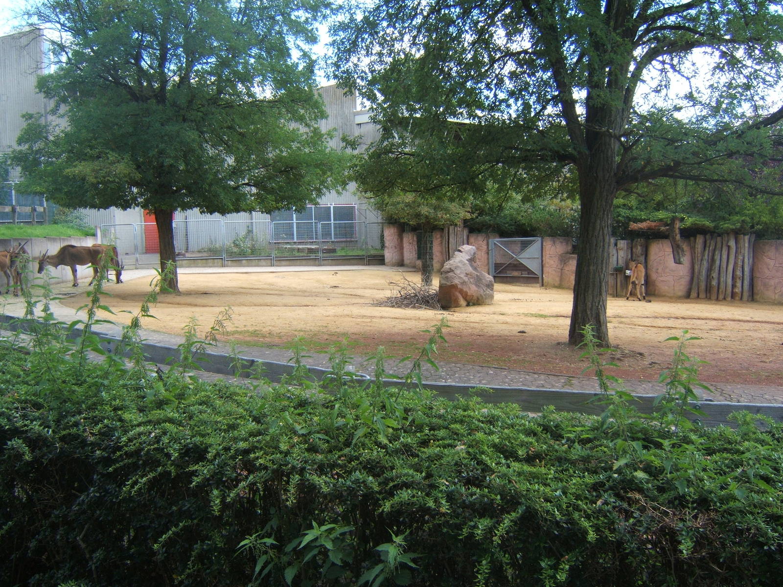 Eland enclosure