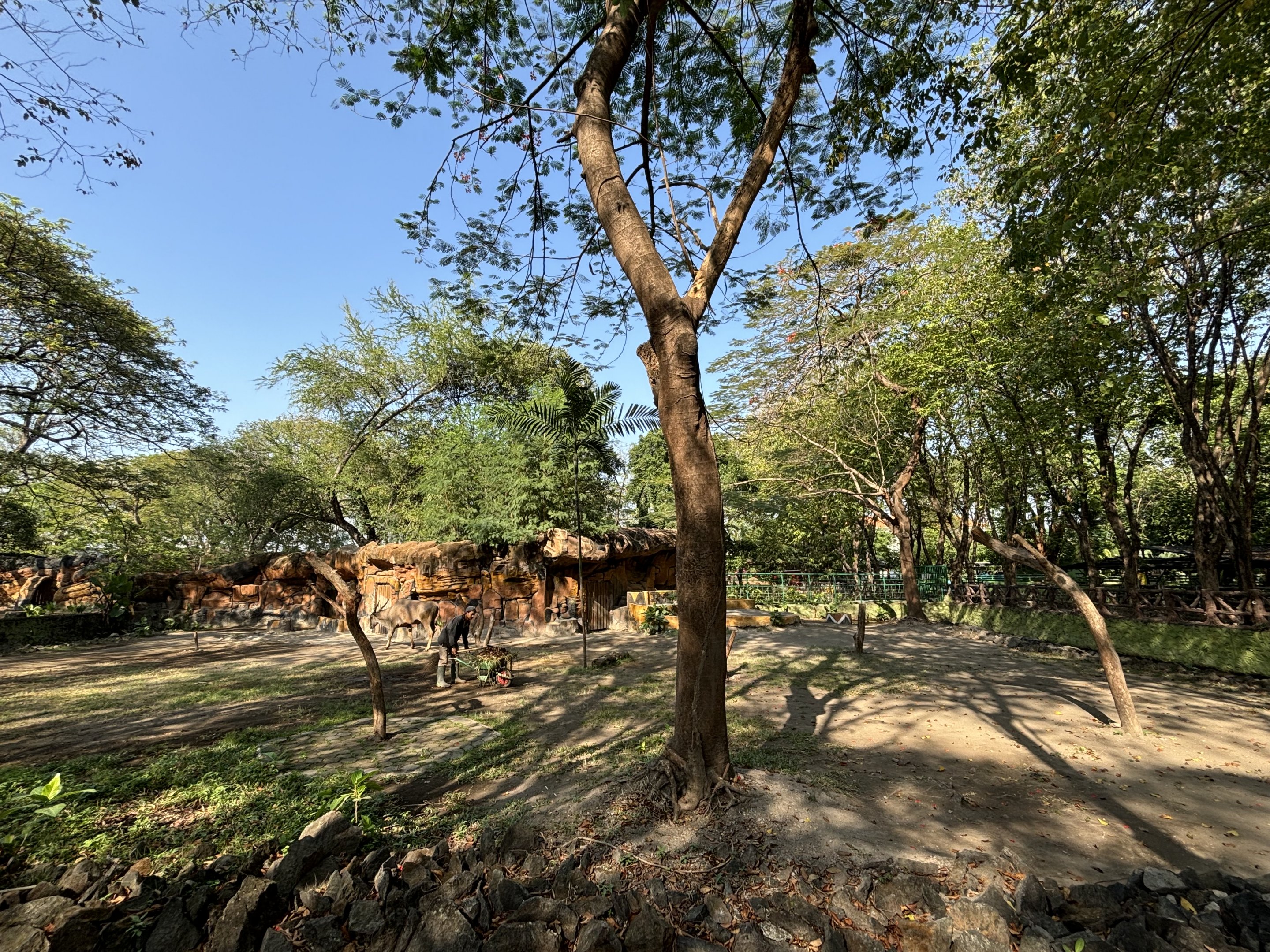 Eland Exhibit