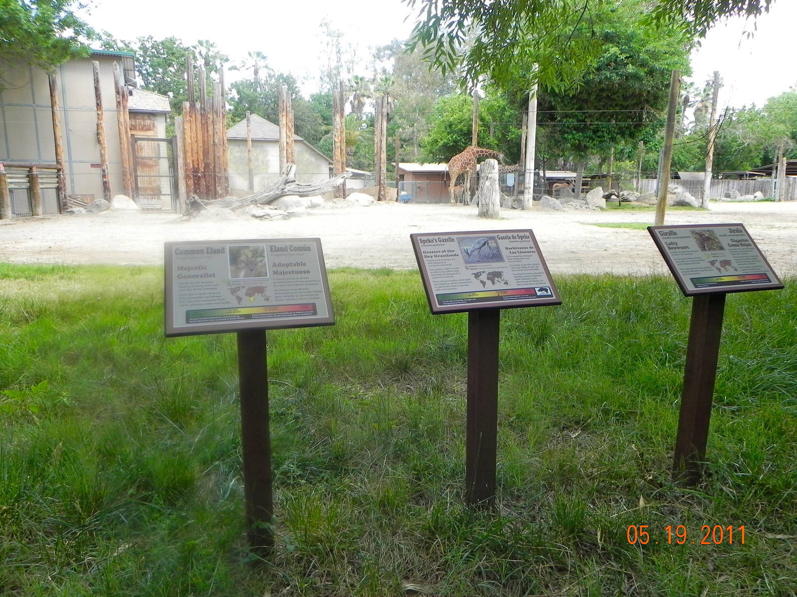 Eland, gazzele and giraffe sign