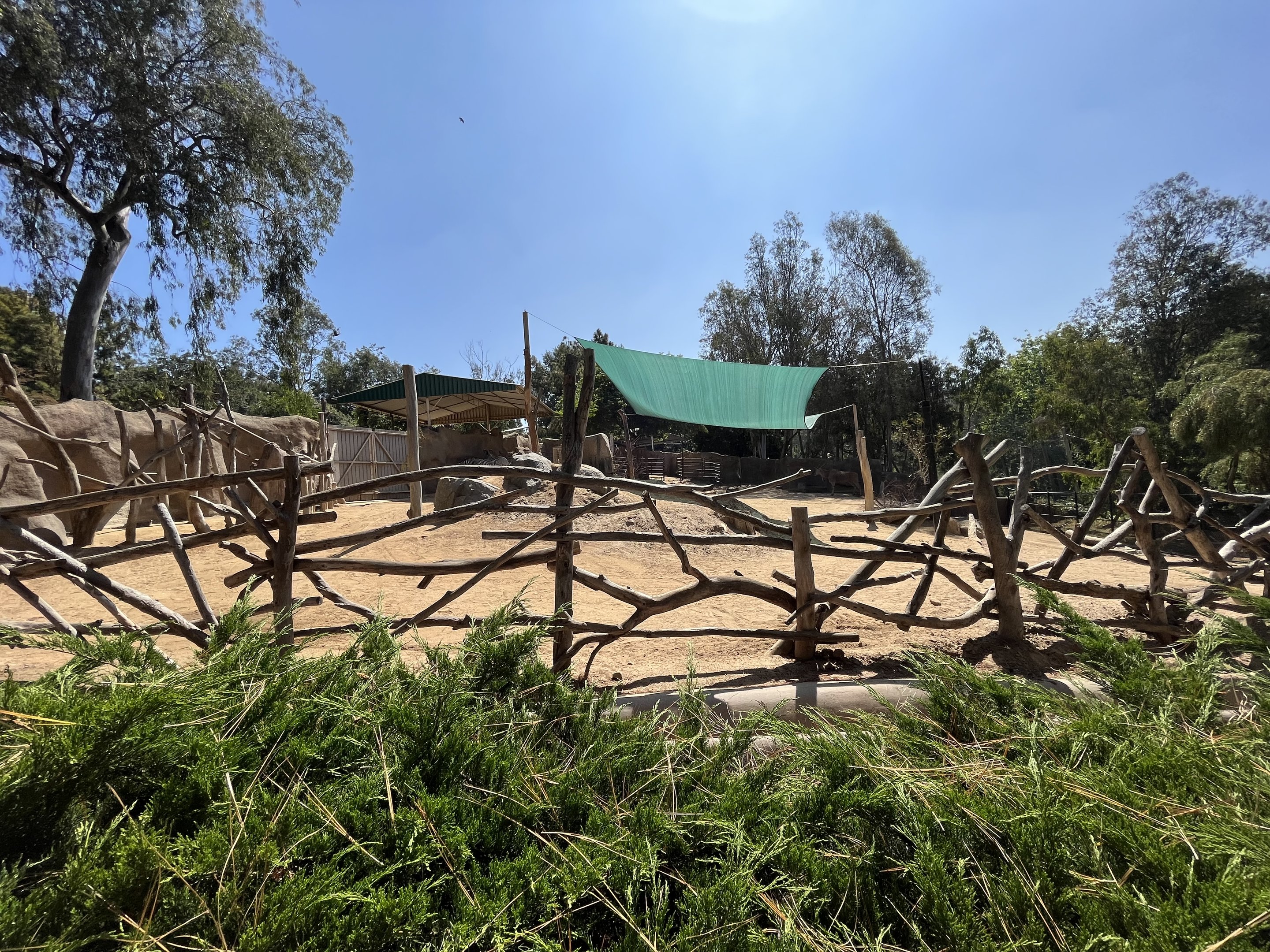 Eland/Grevy’s Zebra/Slender-horned Gazelle Exhibit