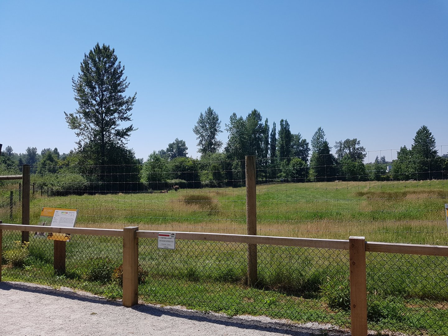 Eland & Ostrich Exhibit