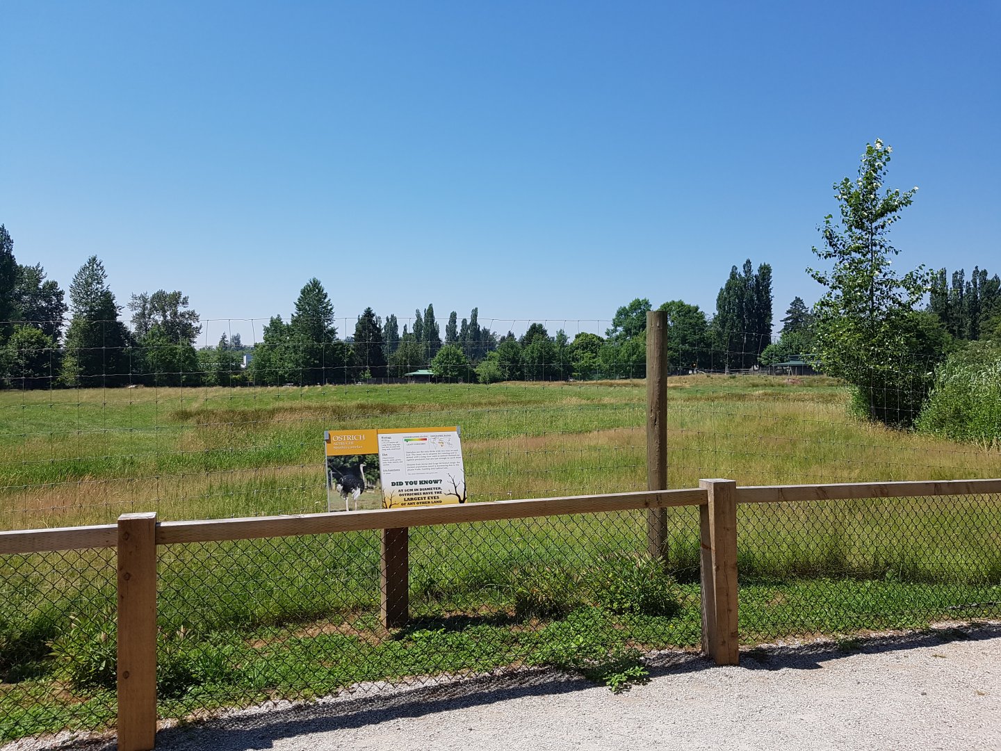Eland & Ostrich Exhibit
