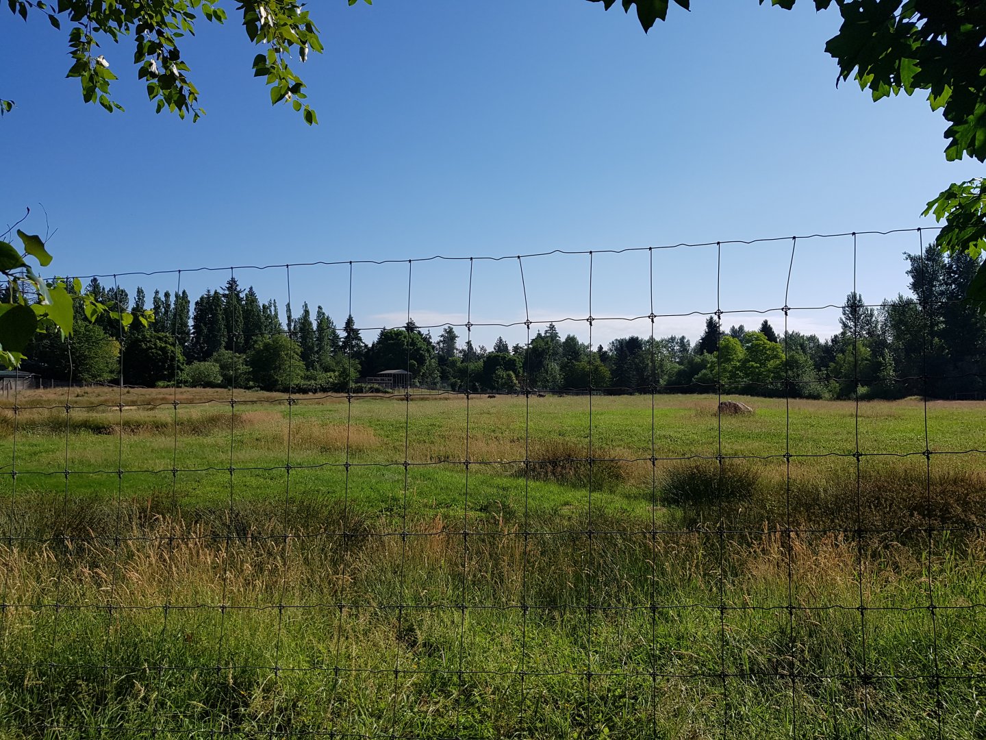 Eland & Ostrich Exhibit