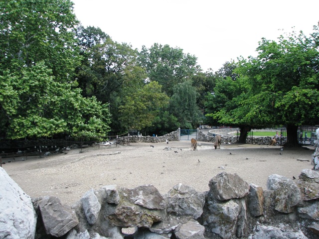 Elands_and_ostriches