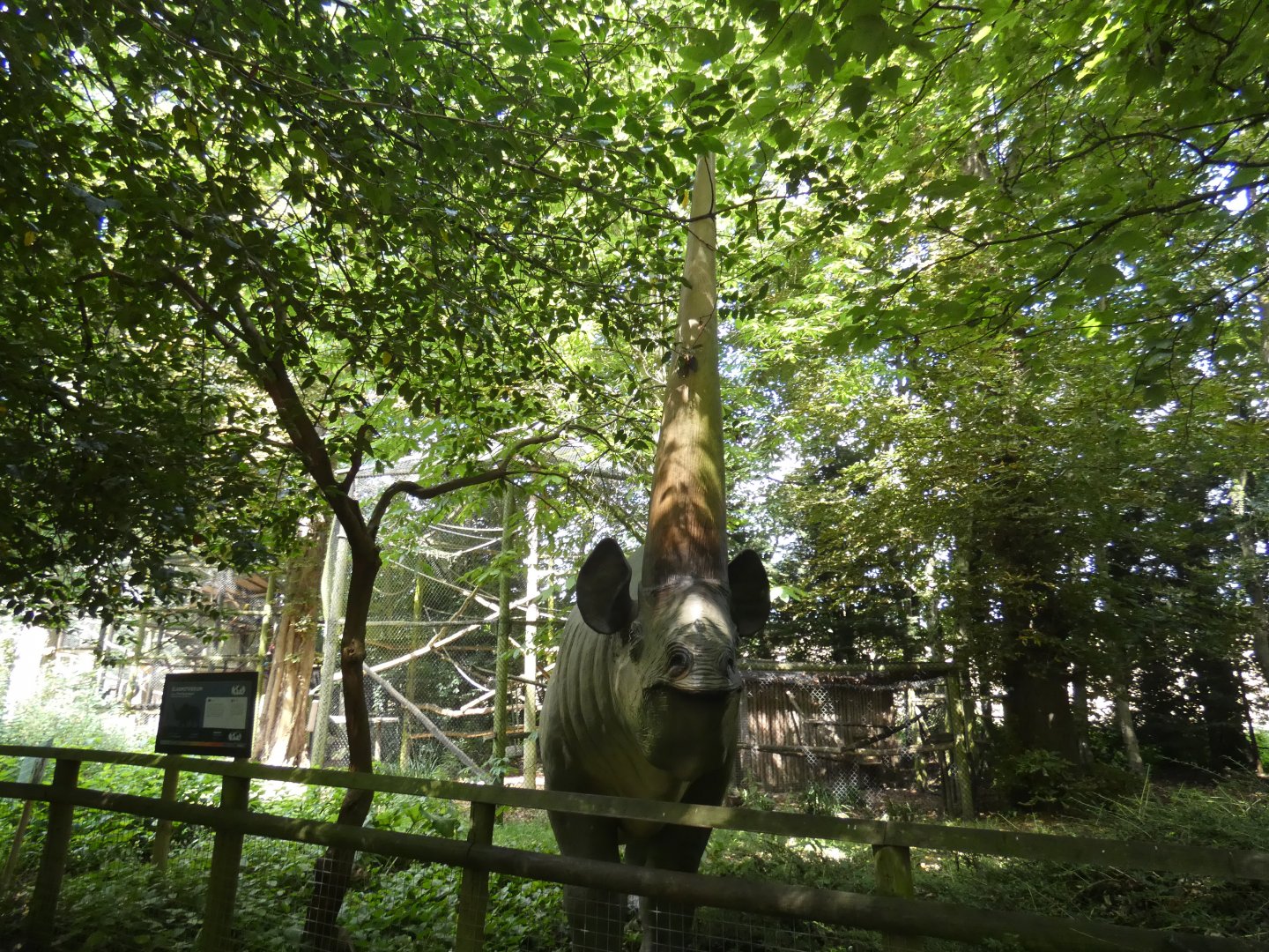 Elasmotherium statue