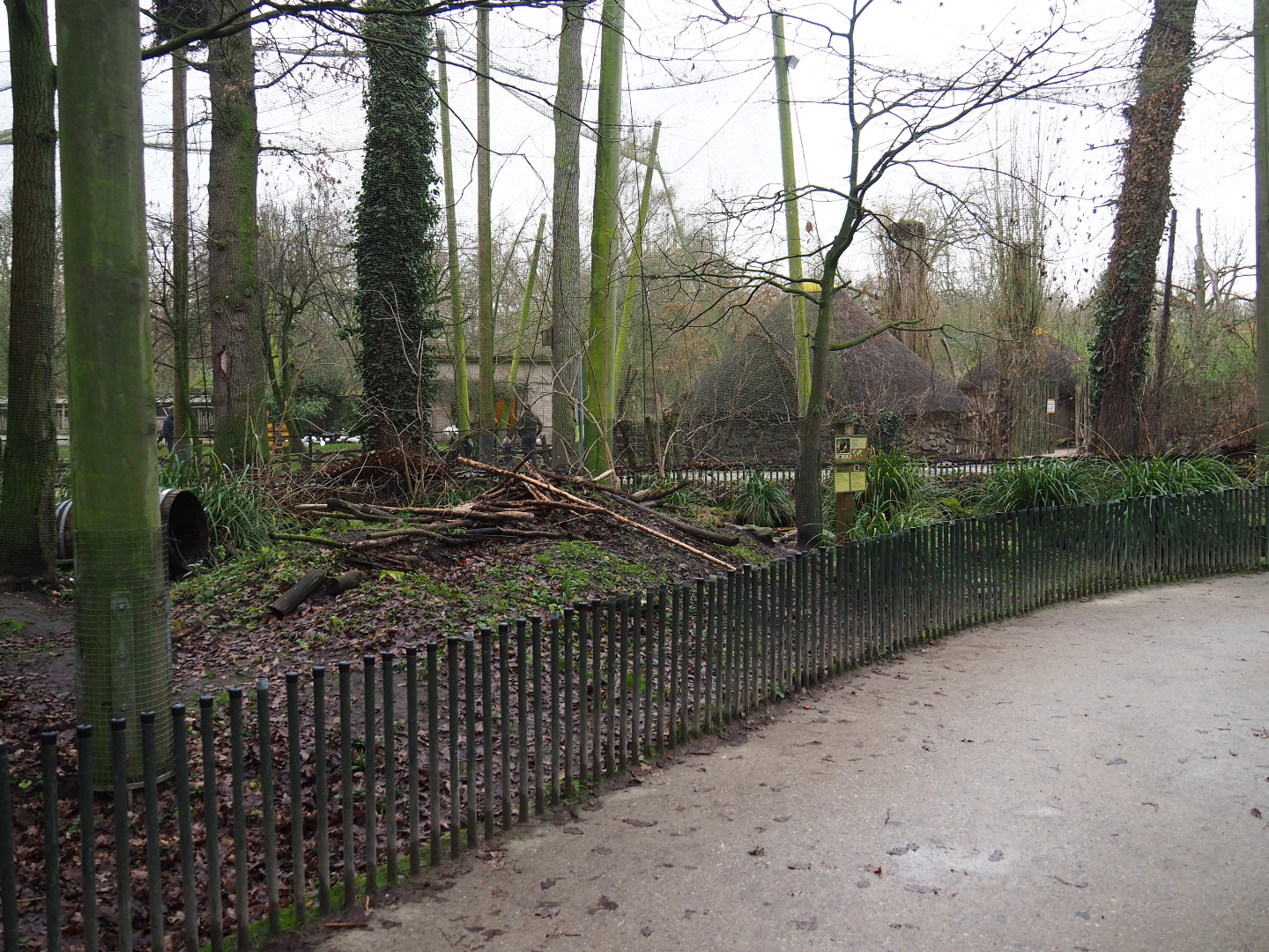 Elbe European beaver exhibit, 2020-01-11