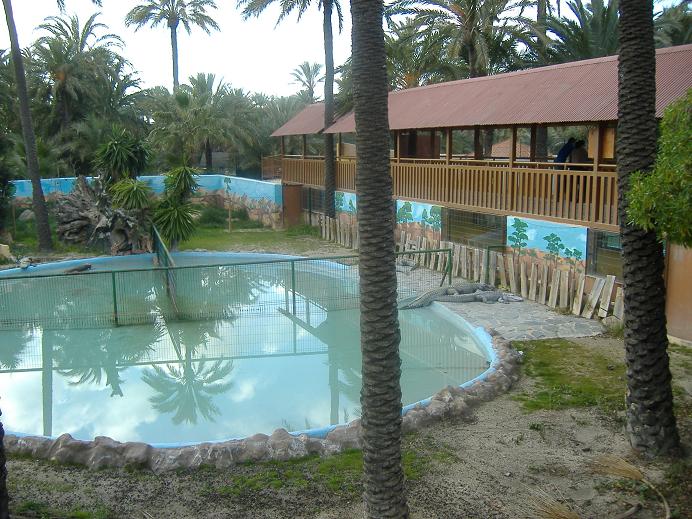 Elche Safari Park alligators