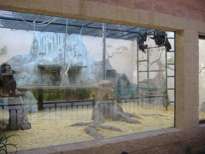 Elche Safari Park chimp cage