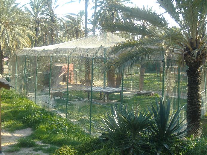 Elche Safari Park jaguar cage