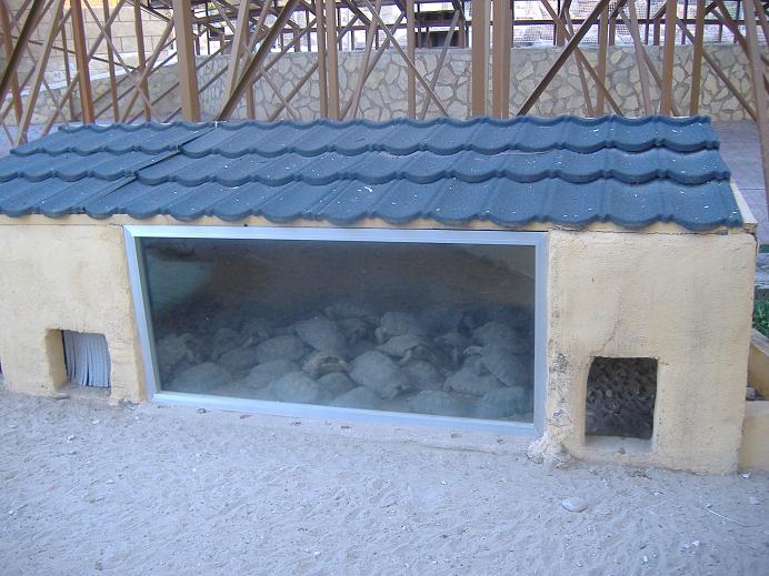 Elche Safari Park tortoise house