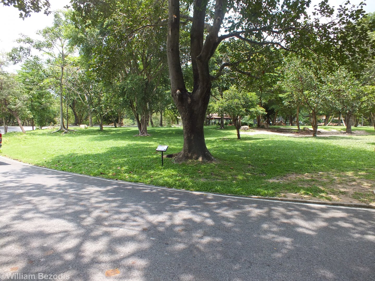 Eld's Deer Drivethrough