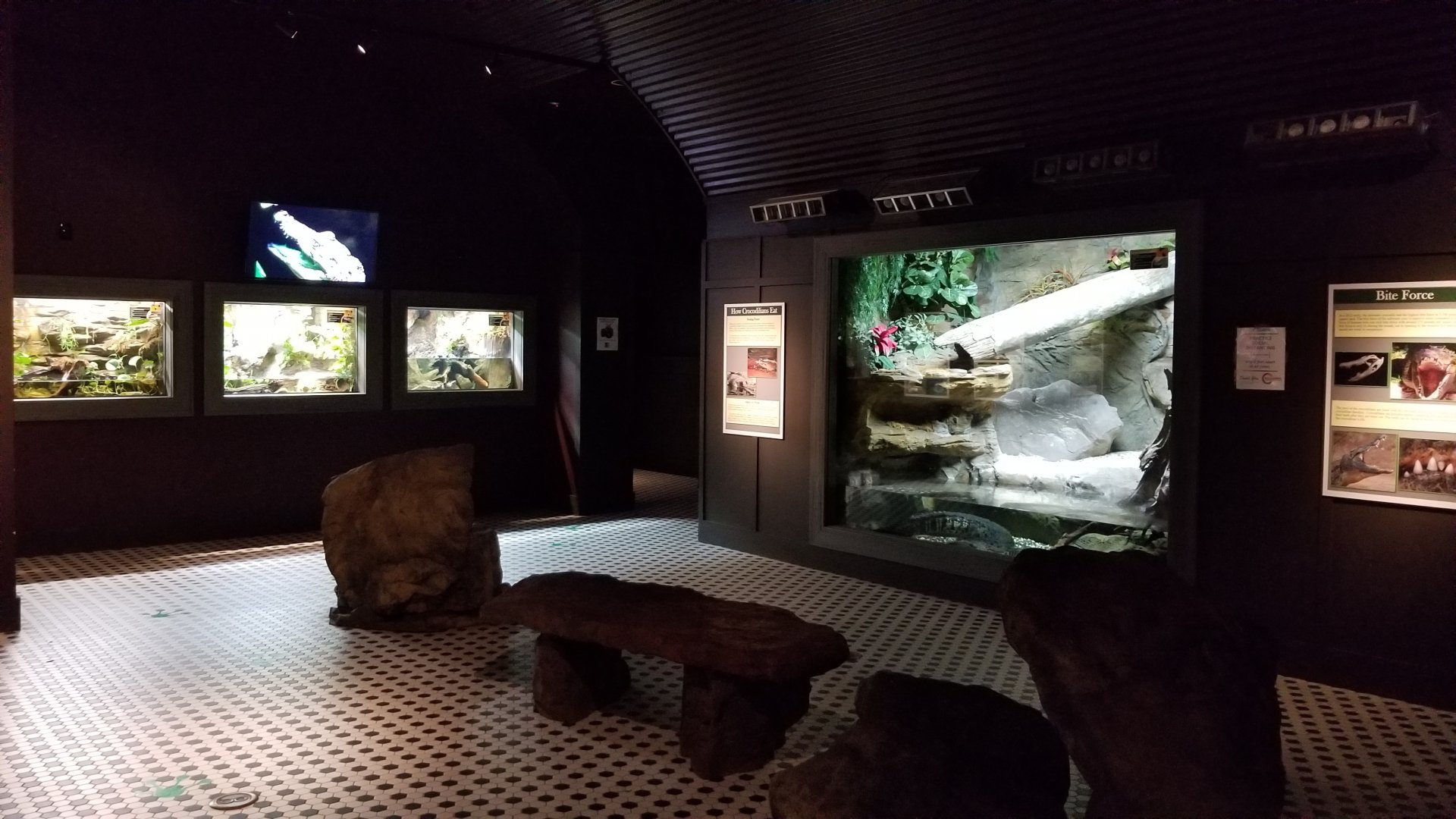 Electric City - Crocodile room