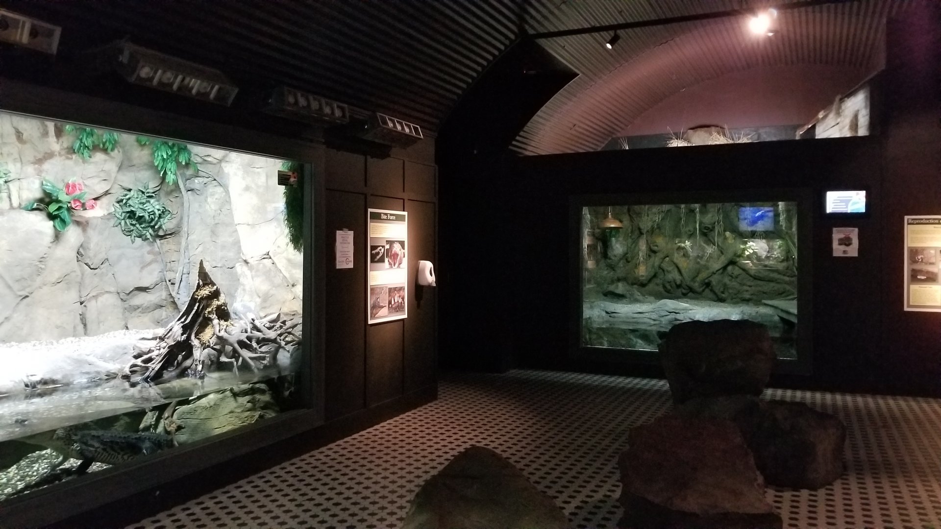 Electric City - Crocodile room