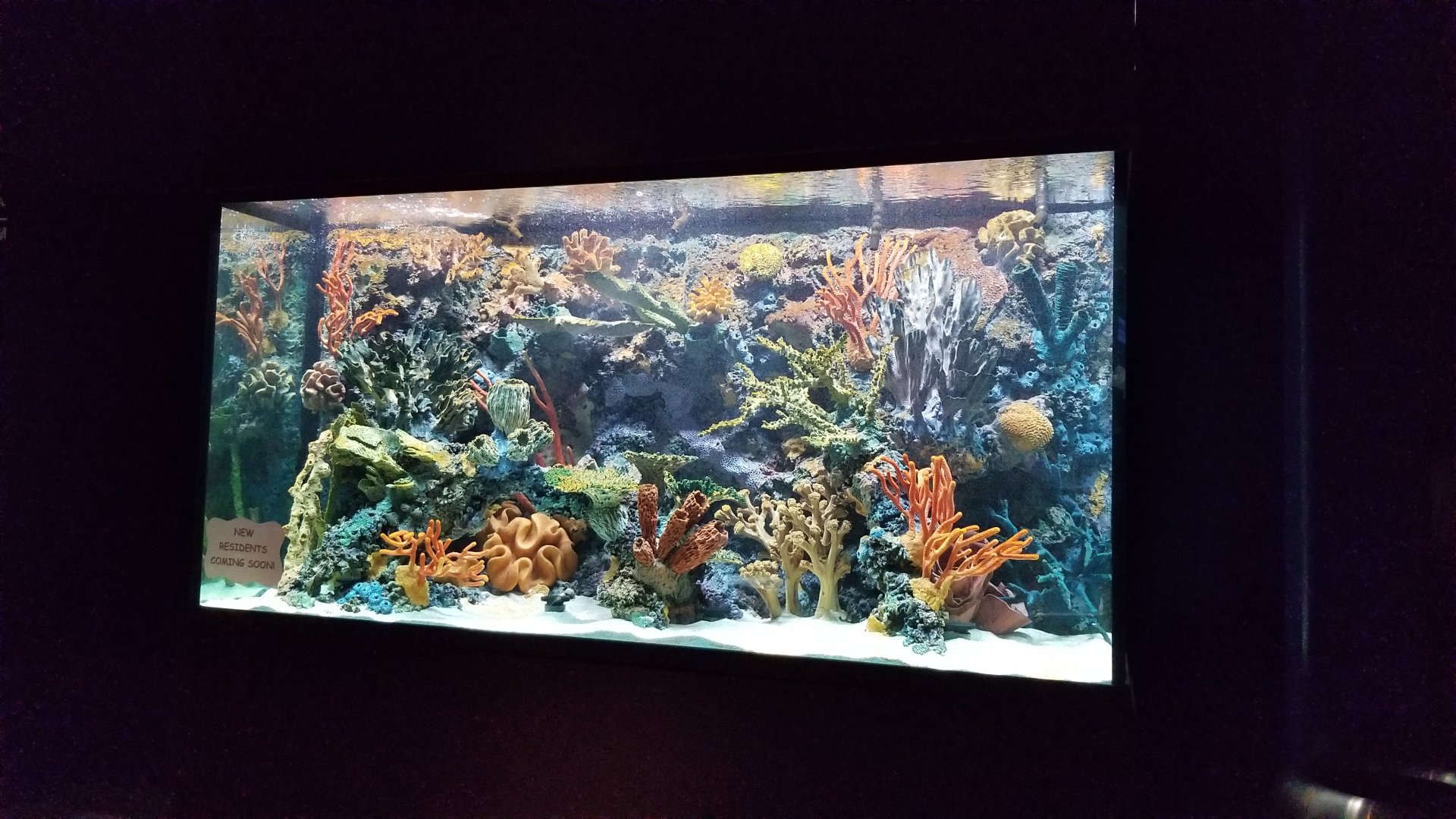 Electric City - currently empty tank