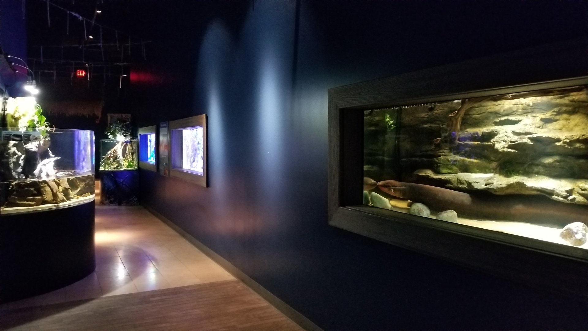 Electric City - Final hallway