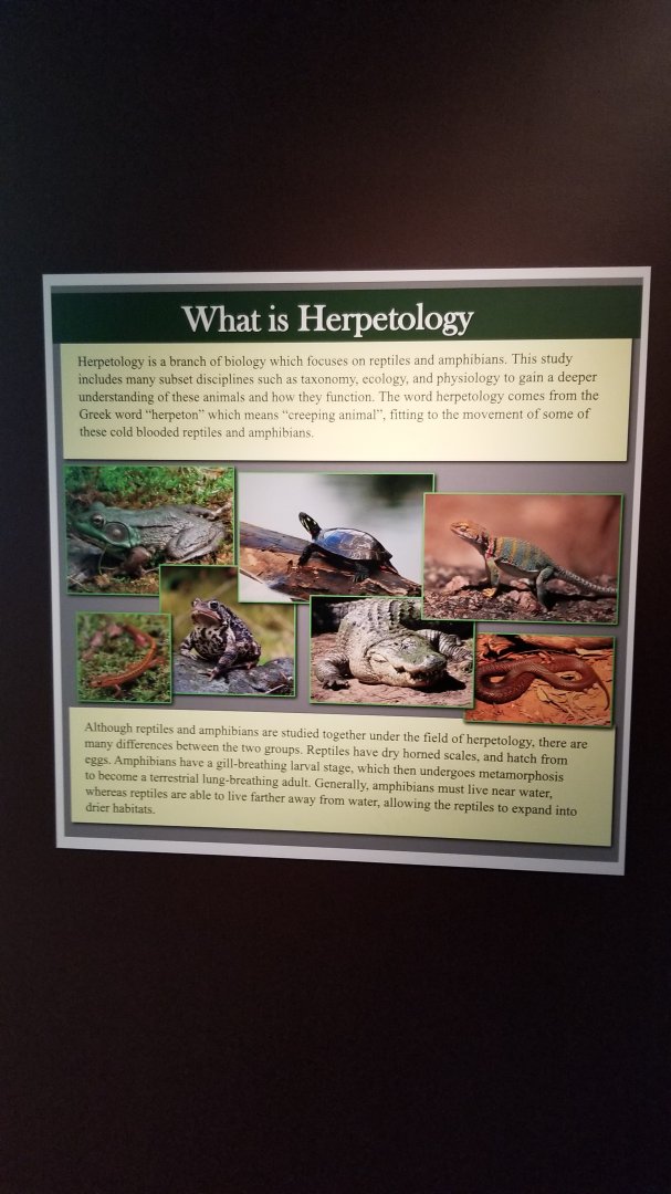 Electric City - Sign examples