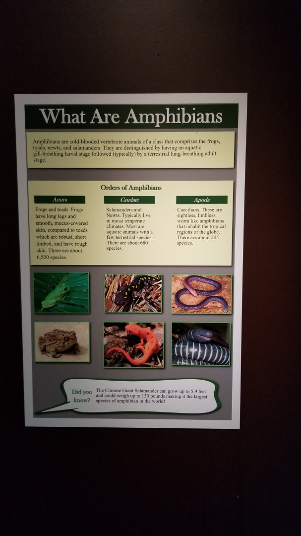 Electric City - Sign examples