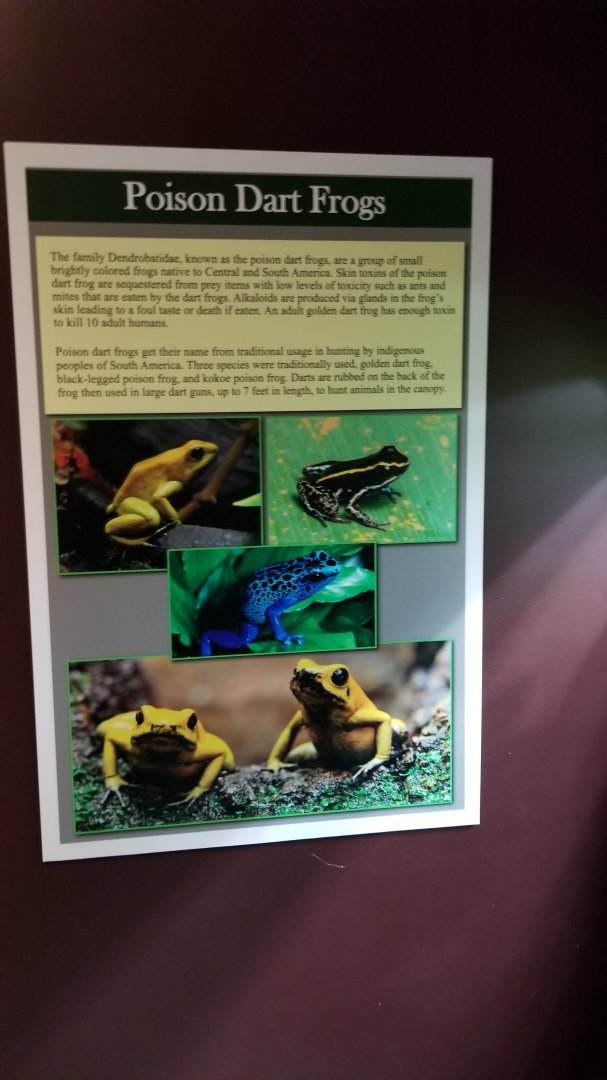 Electric City - Sign examples