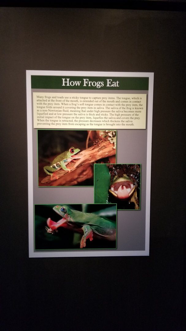 Electric City - Sign examples