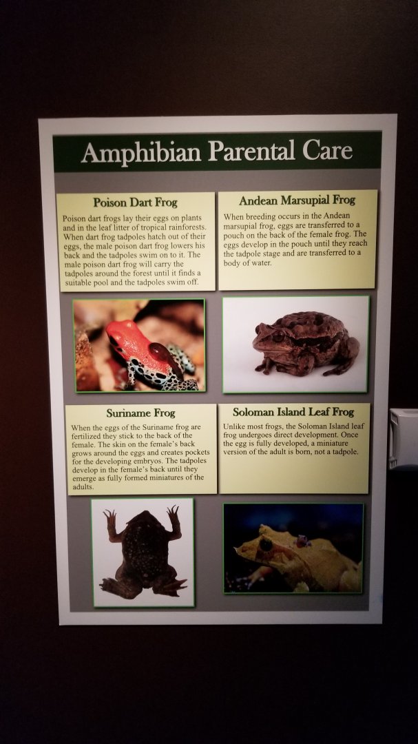 Electric City - Sign examples