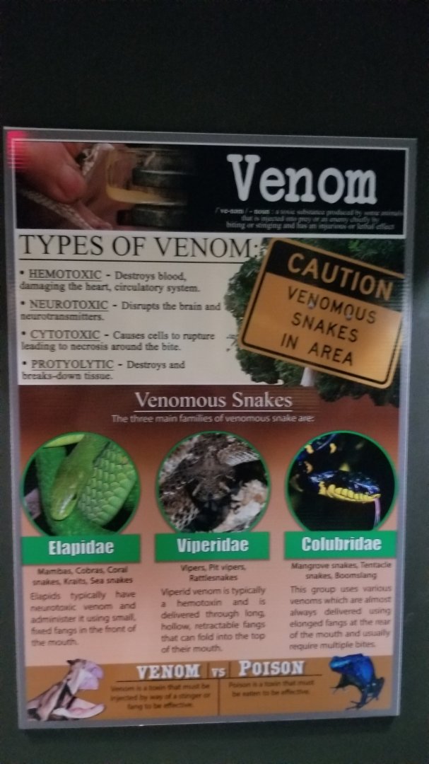 Electric City - Sign examples