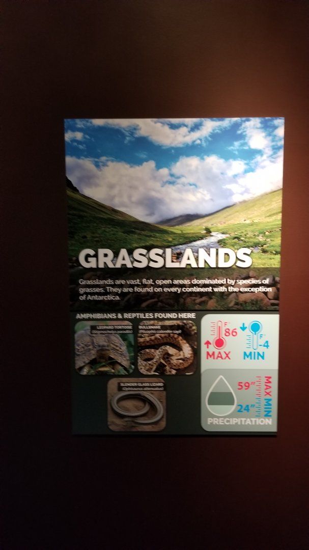 Electric City - Sign examples