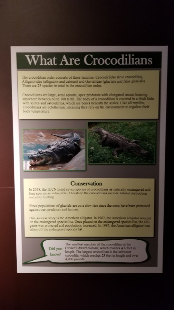 Electric City - Sign examples