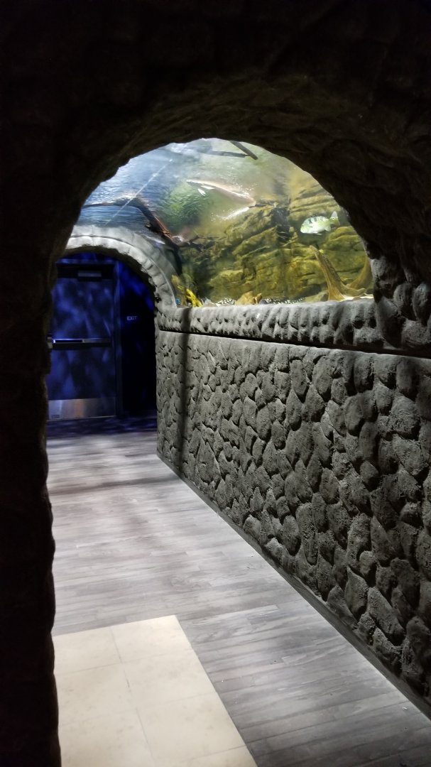 Electric City - tunnel