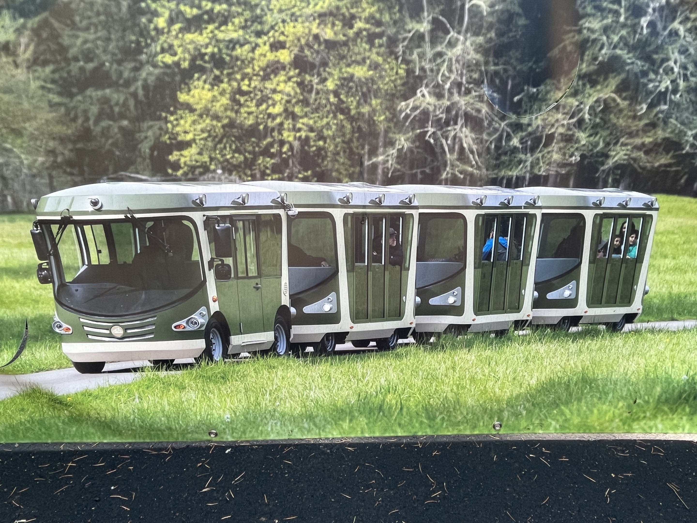 Electric Trams - coming soon!