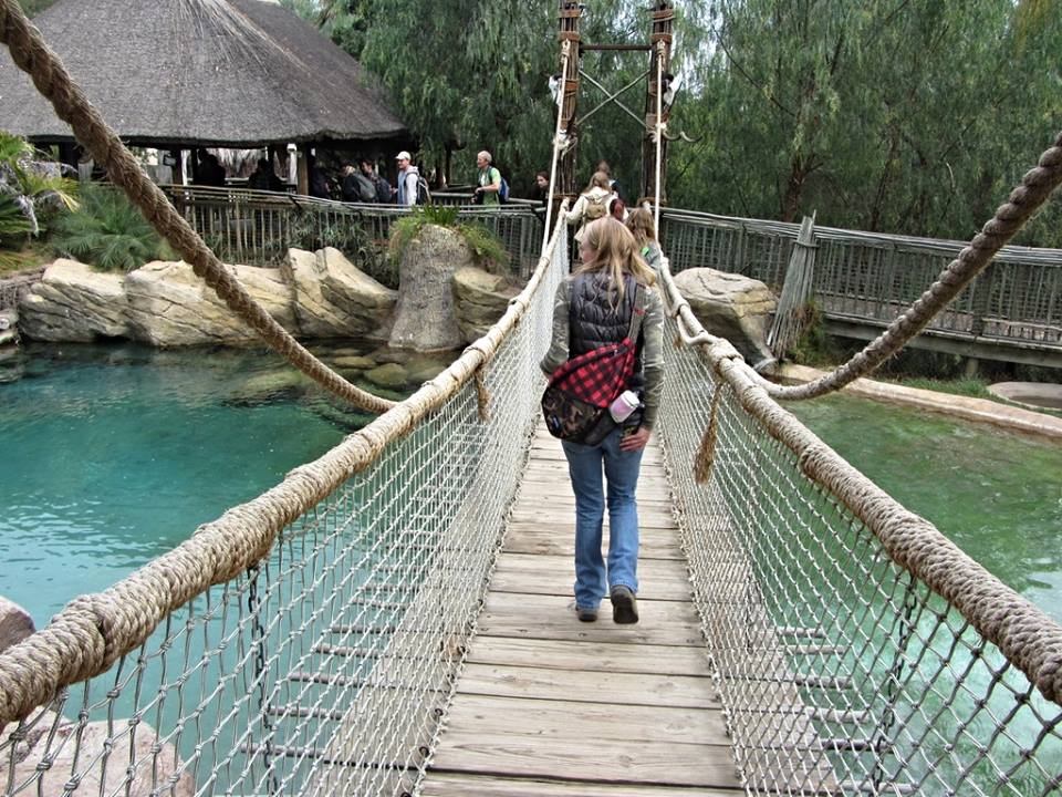 Electronic Moving Bridge over First Nile Crocodile Exhibit