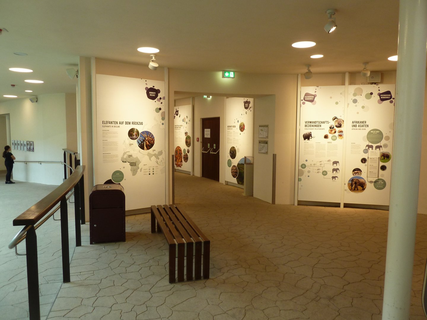 Elefantenhaus - Exhibition room