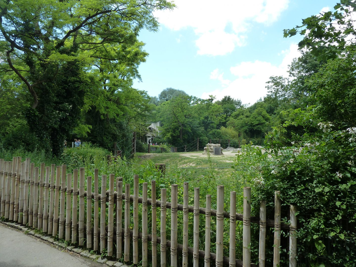 Elefantenhaus - Herd enclosure