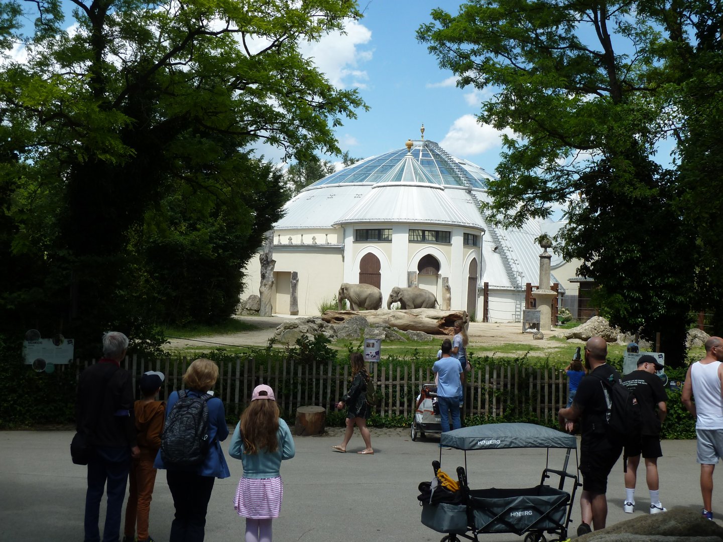 Elefantenhaus - Herd enclosure