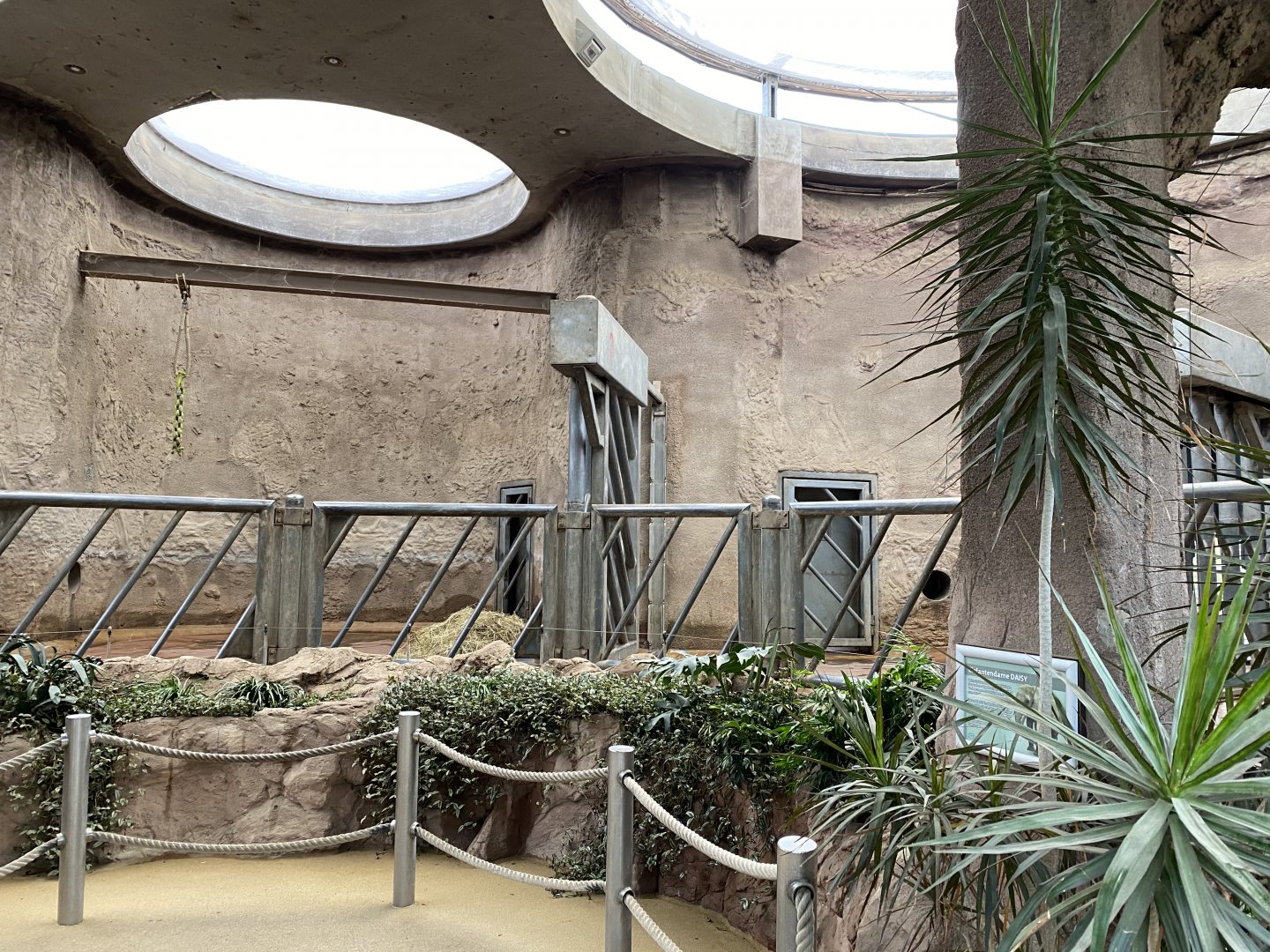 Elefantenhaus section of indoors 011219