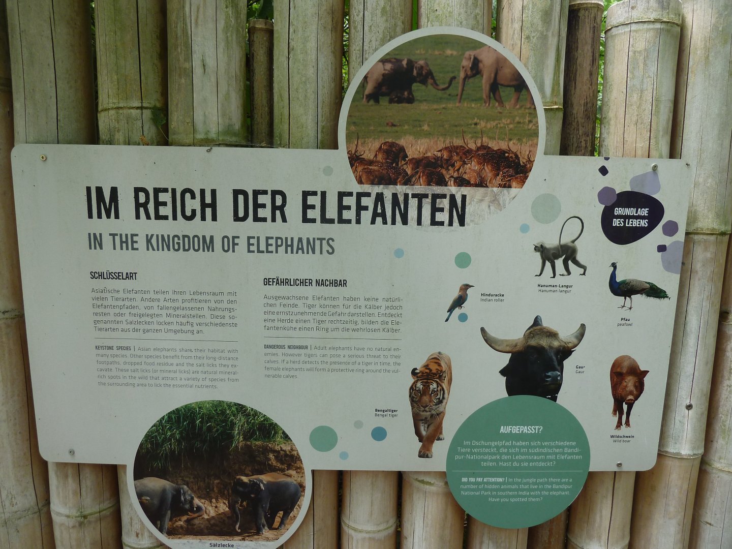 Elefanthaus - Information sign