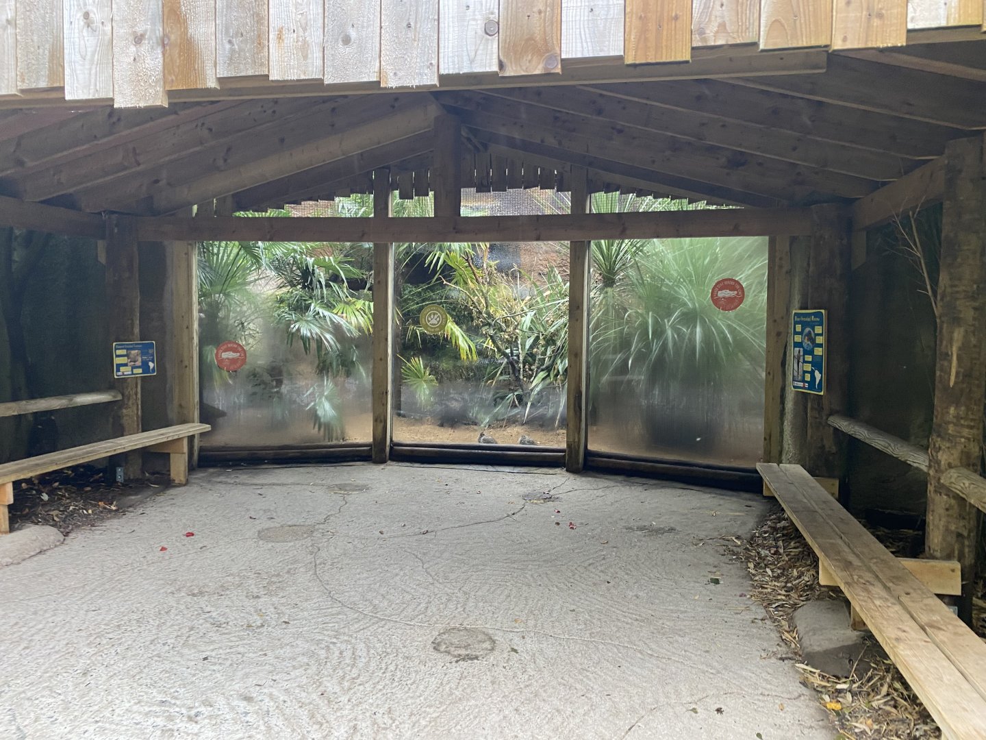 Elegant crested tinamou and Blue-throated macaw exhibit 191021