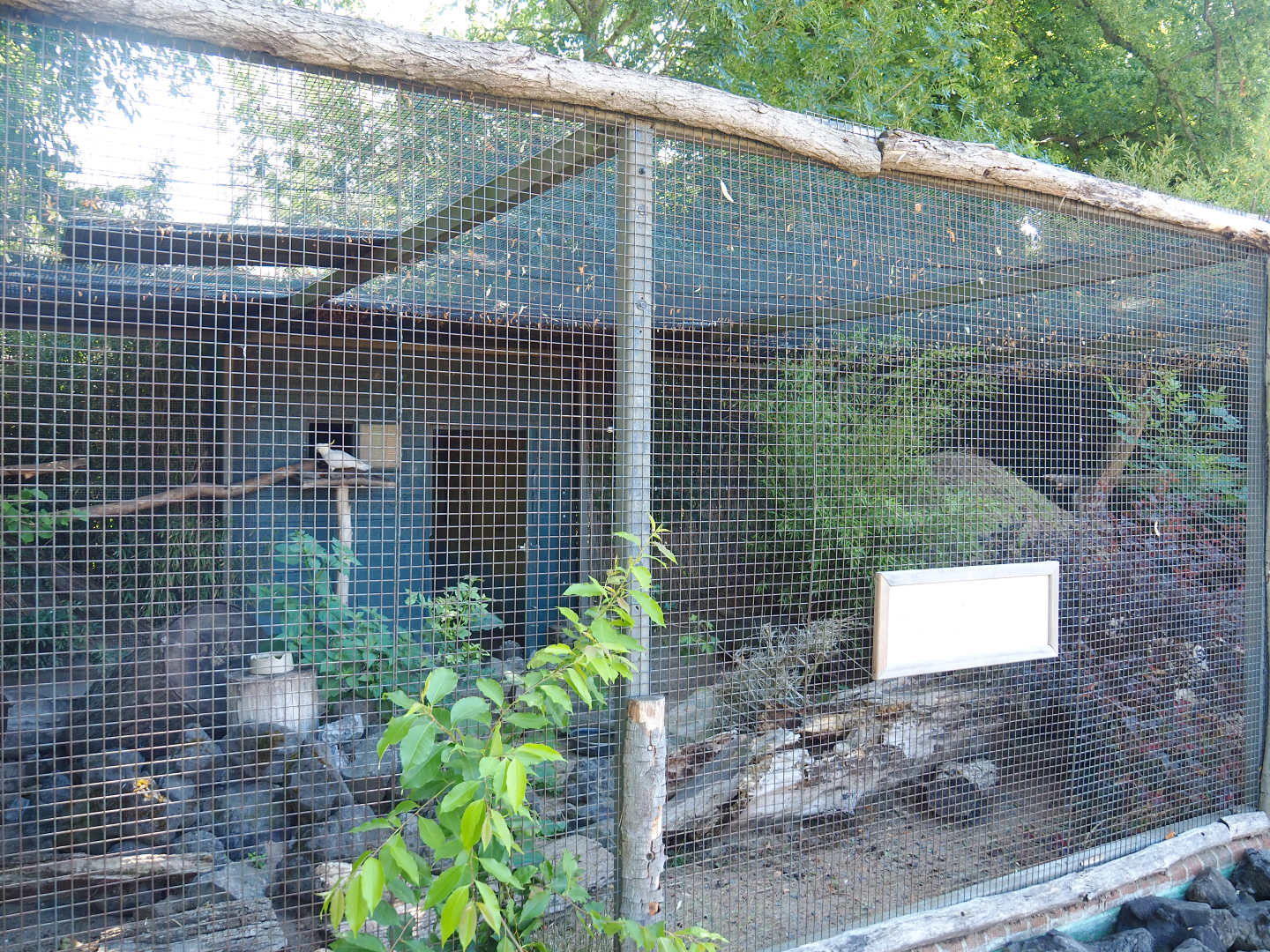 Eleonora sulphur-crested cockatoo and Australian brush turkey aviary, 2022-06-28