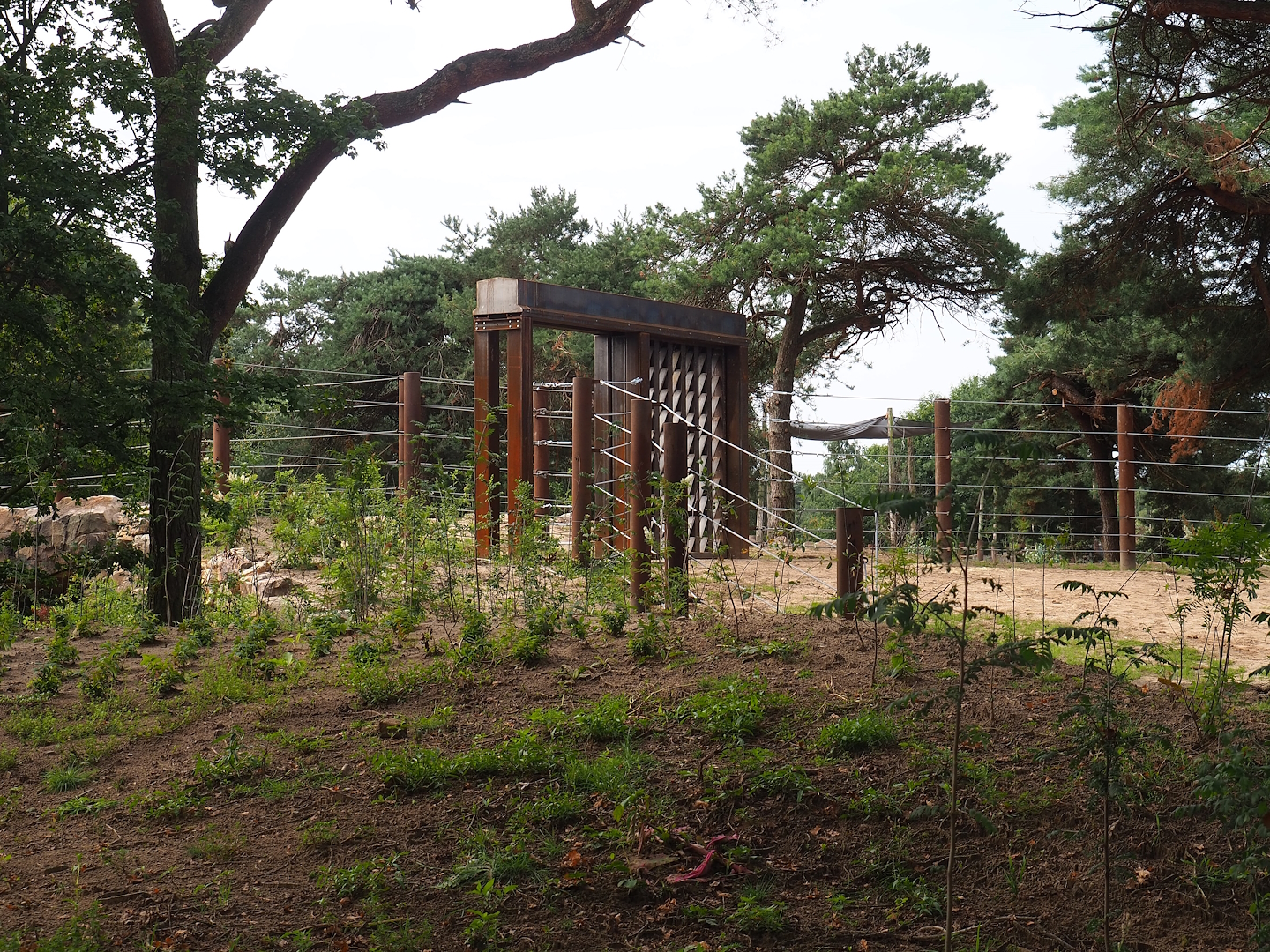 Elephant access gate to new African bush elephant valley, 2023-08-15