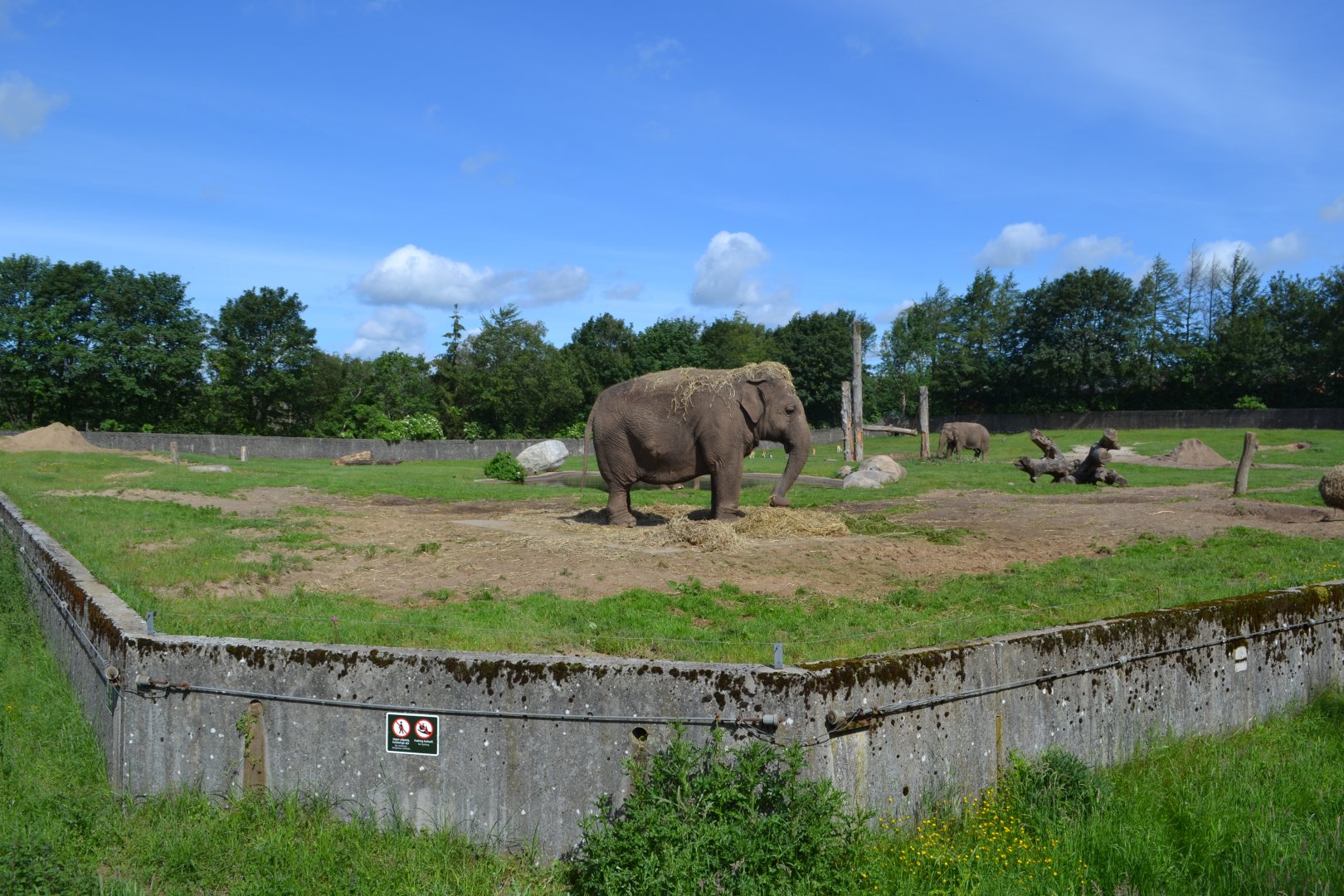 Elephant and blackbuck enclosure in Givskud Zoo