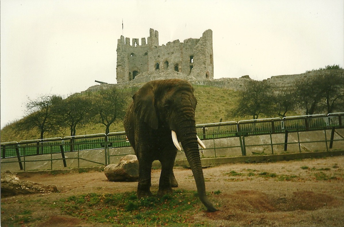 Elephant and Castle 1st November 1997