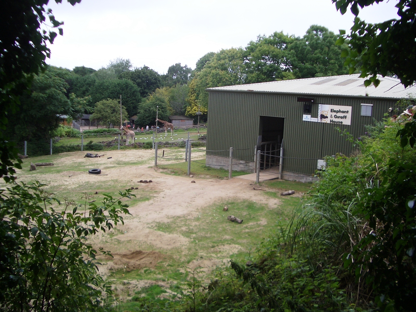 Elephant and Giraffe House - 27.07.2010