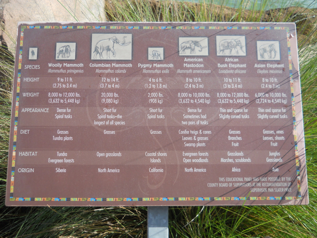 Elephant and mammoth comparisons sign