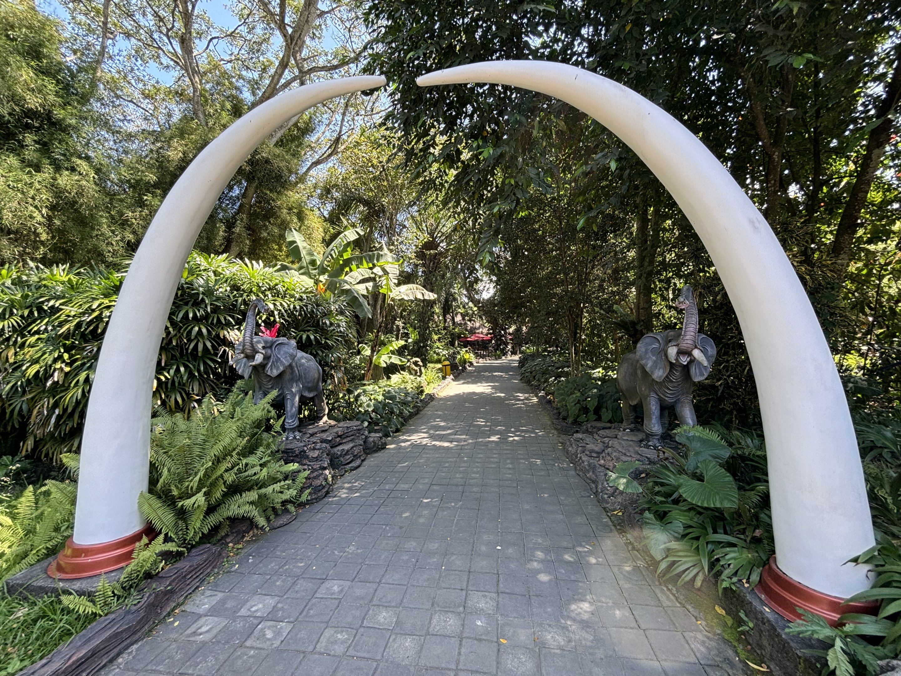 Elephant Area Pathway