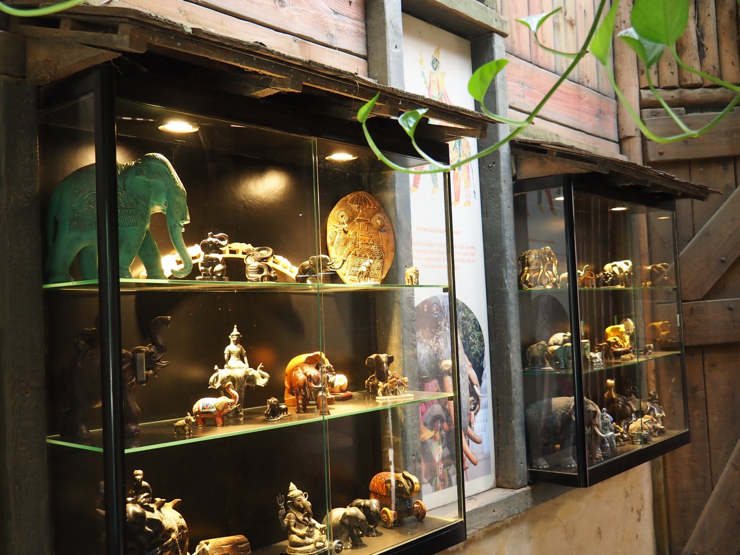 Elephant art displays