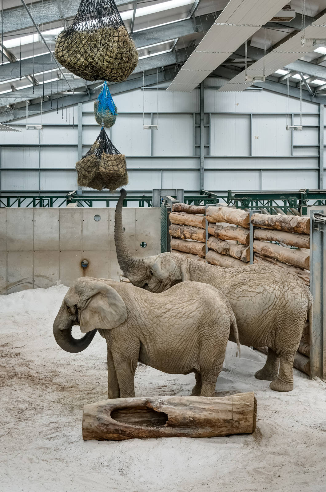 Elephant Barn - 21/06/2015