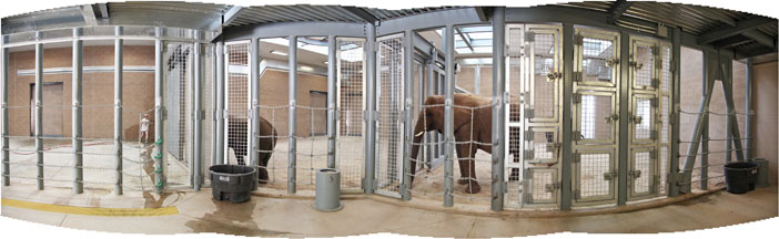 elephant barn interior
