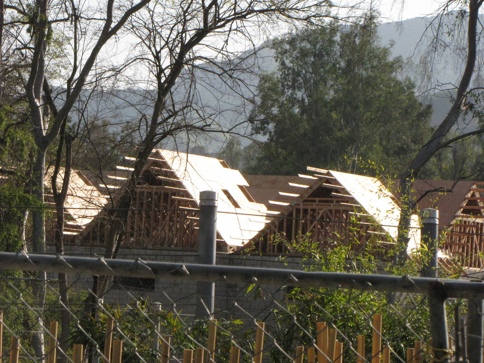 Elephant Barn Taking Shape