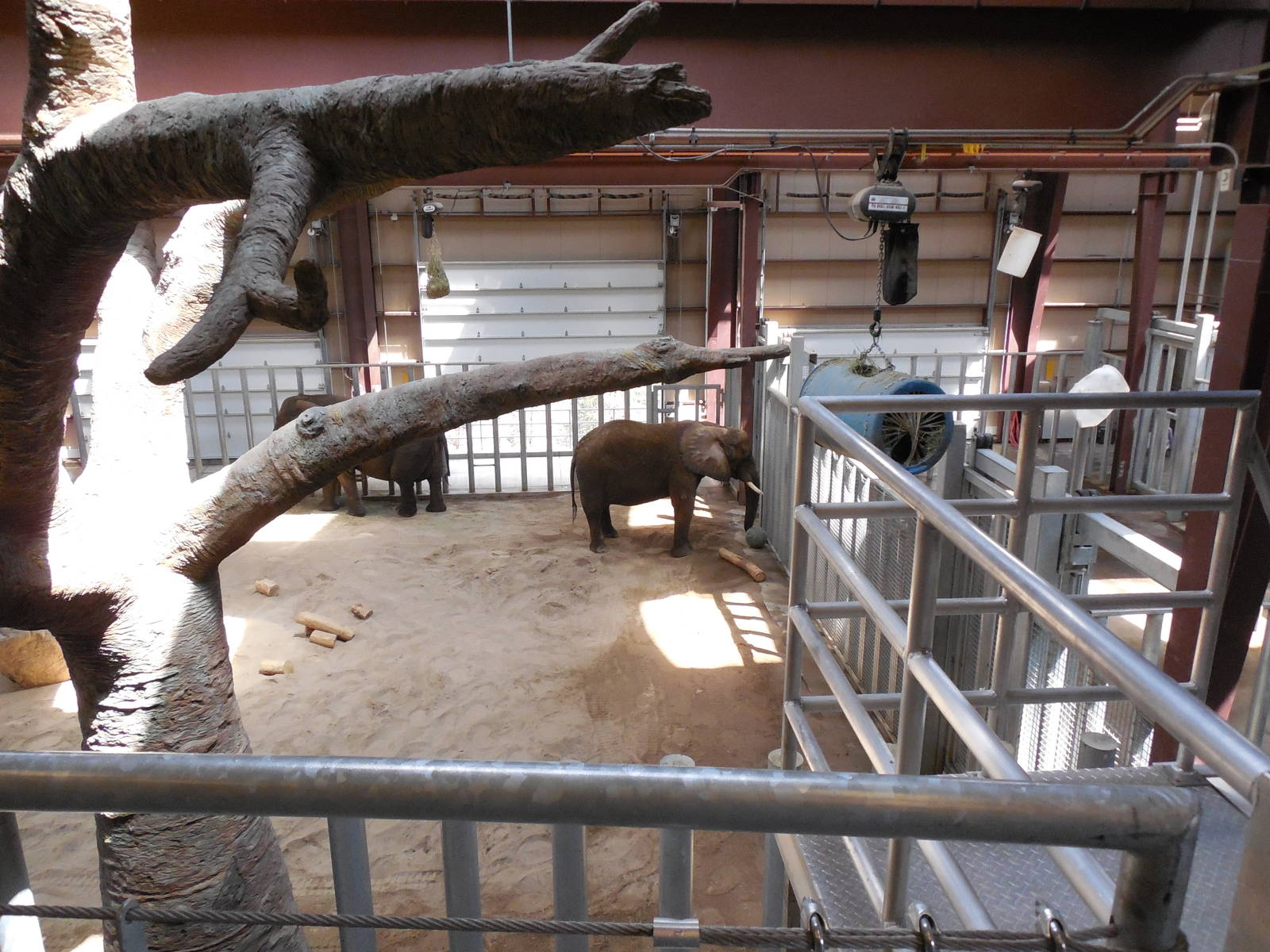 Elephant Barn