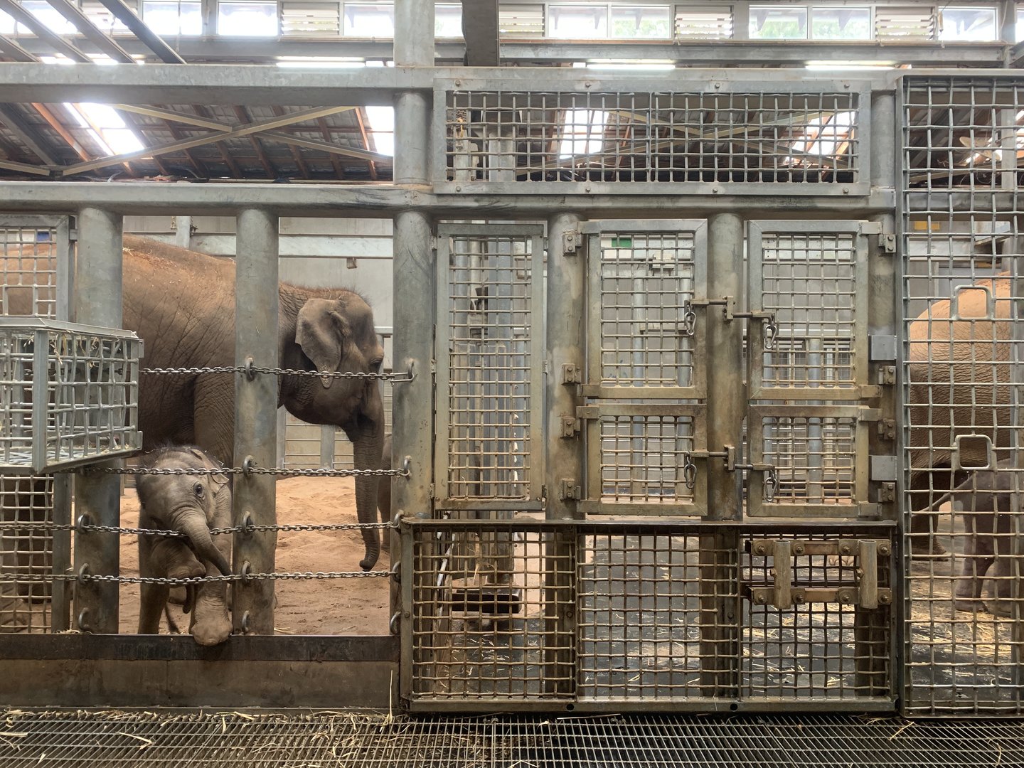 Elephant Barn