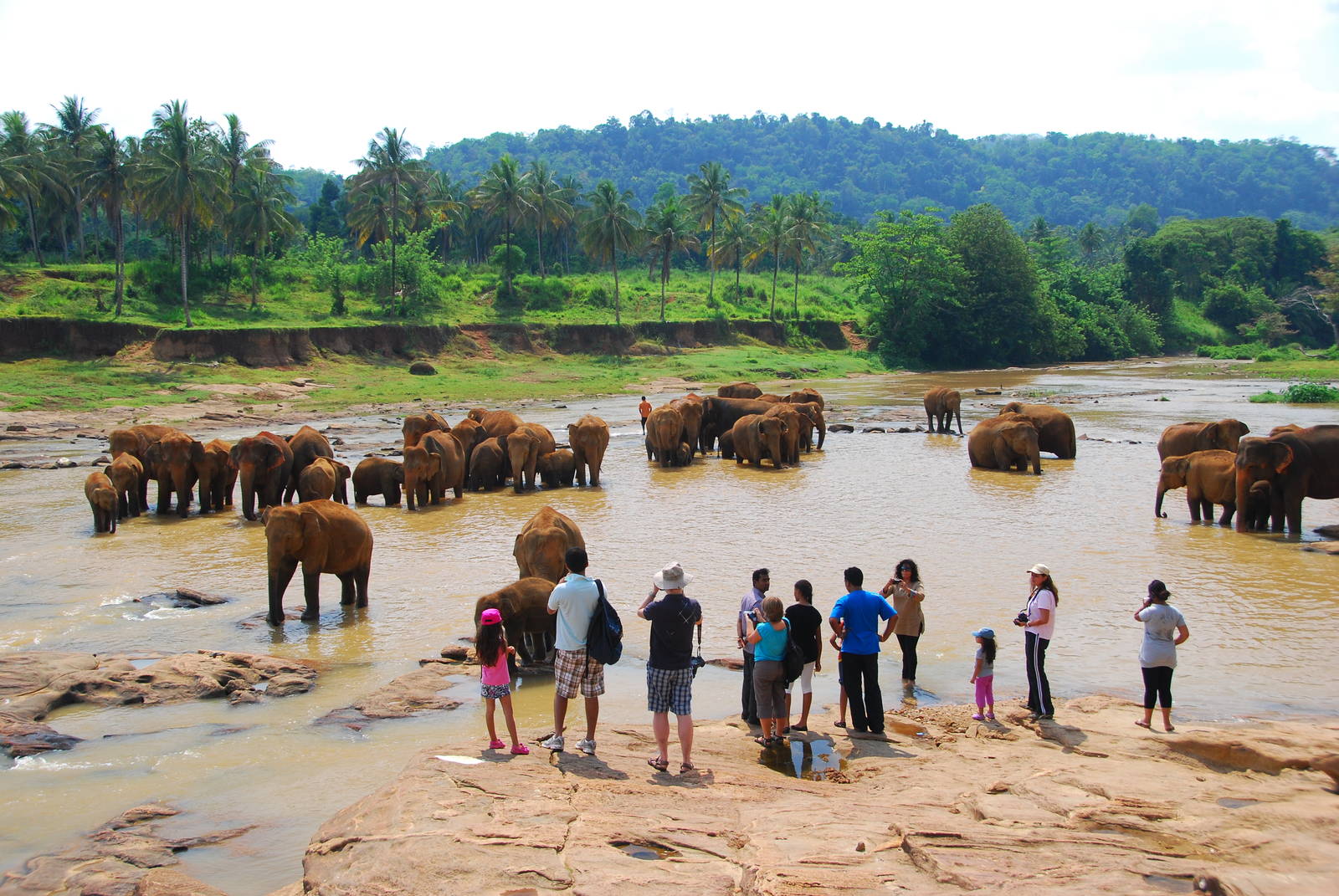 Elephant bath viewing area
